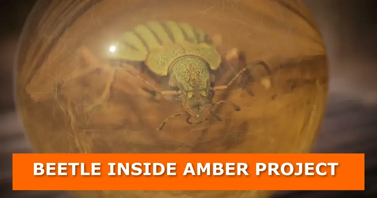 Beetle inside amber created in Blender and rendered in cycles rendering engine