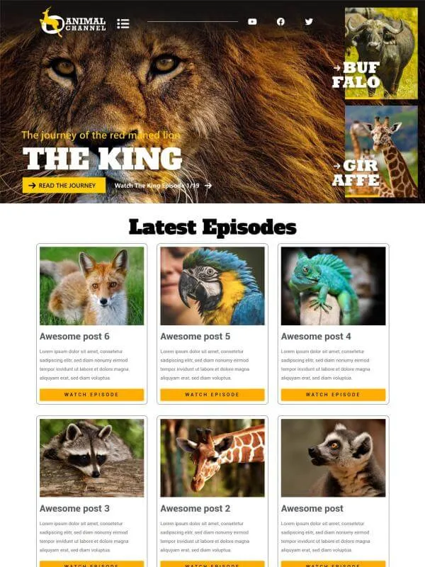 Animal channel concept website design