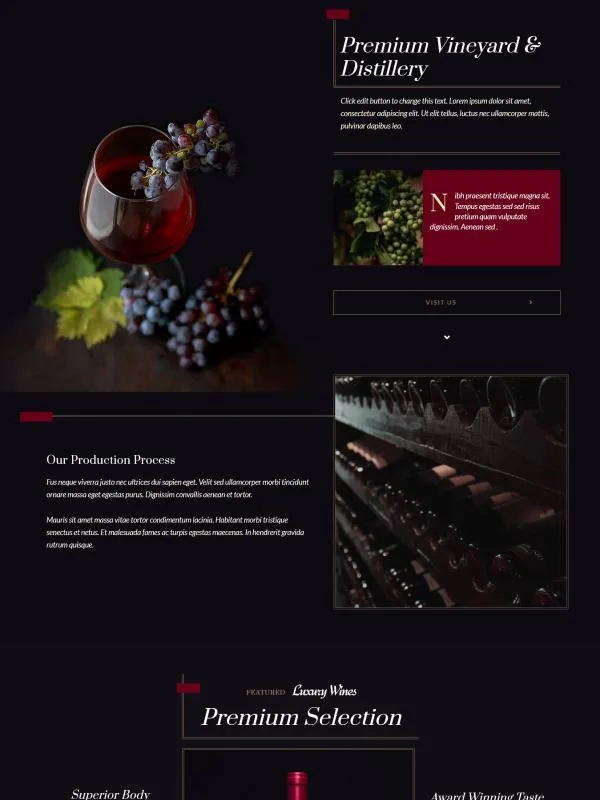 Wine seller v2 website screenshot