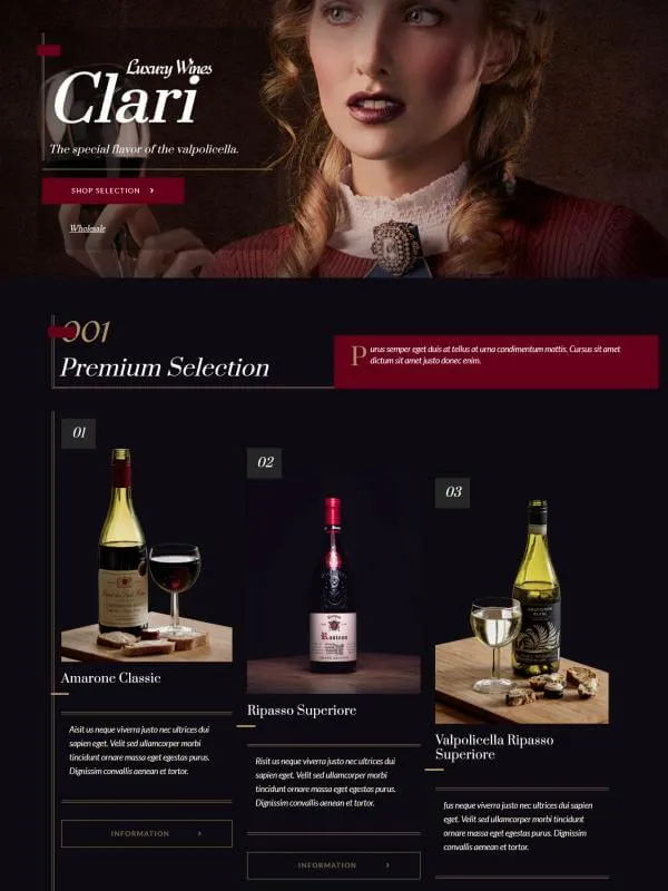 Wine seller website screenshot